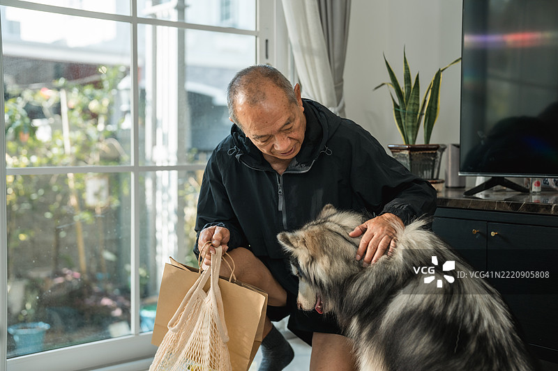 一位老年男子走向门口，他的两只快乐的狗兴奋地等待着迎接他。图片素材