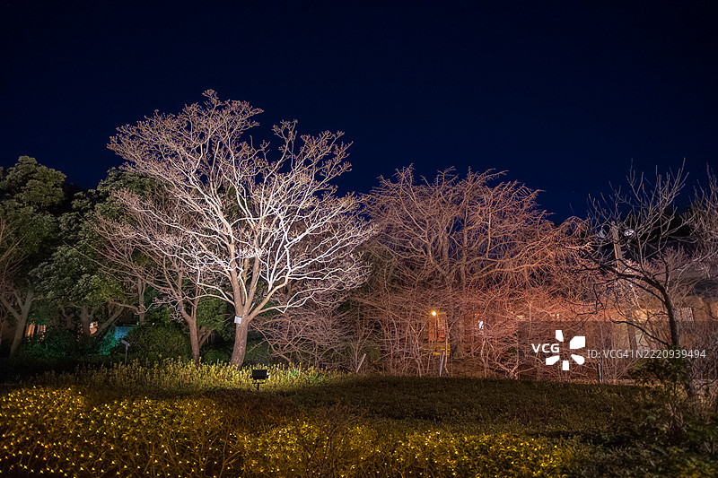 公园里的冬季灯光秀。图片素材