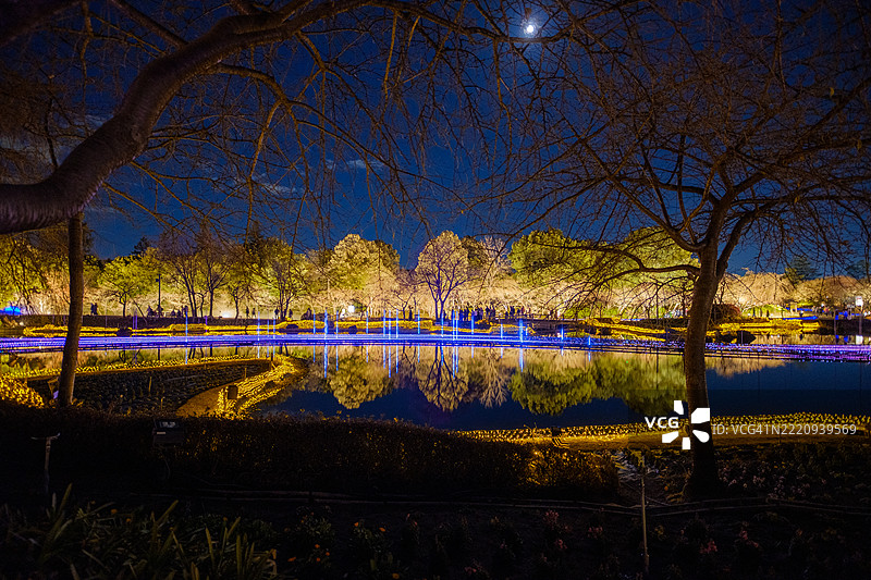 公园里的冬季灯光秀。图片素材