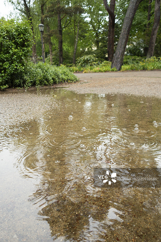 雨水坑,雨水,奥斯特塞大街,波罗的海,波罗的海度假胜地,库尔伦斯博恩,罗斯托克区,梅克伦堡-前波美拉尼亚,德国,欧洲图片素材