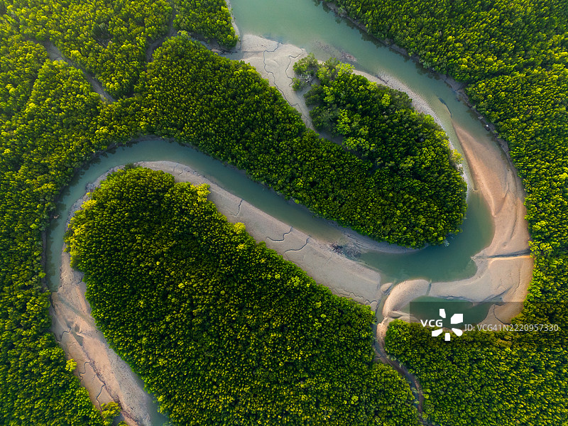 泰国攀牙省红树林的鸟瞰图图片素材