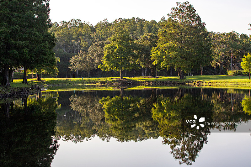 佛罗里达州棕榈港的湖泊美景与天空相映成趣图片素材