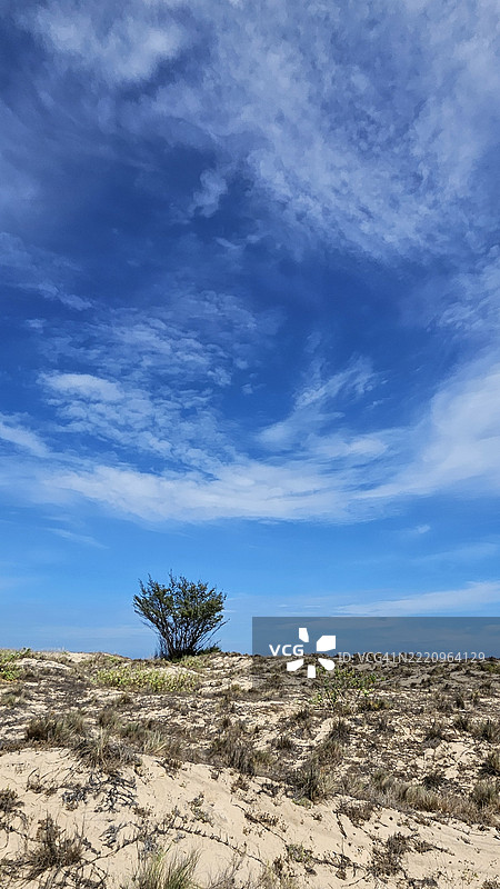 越南蓝天映衬下的田野美景图片素材
