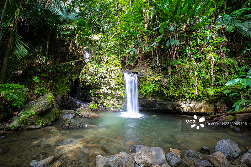波多黎各森林中的瀑布景观图片素材