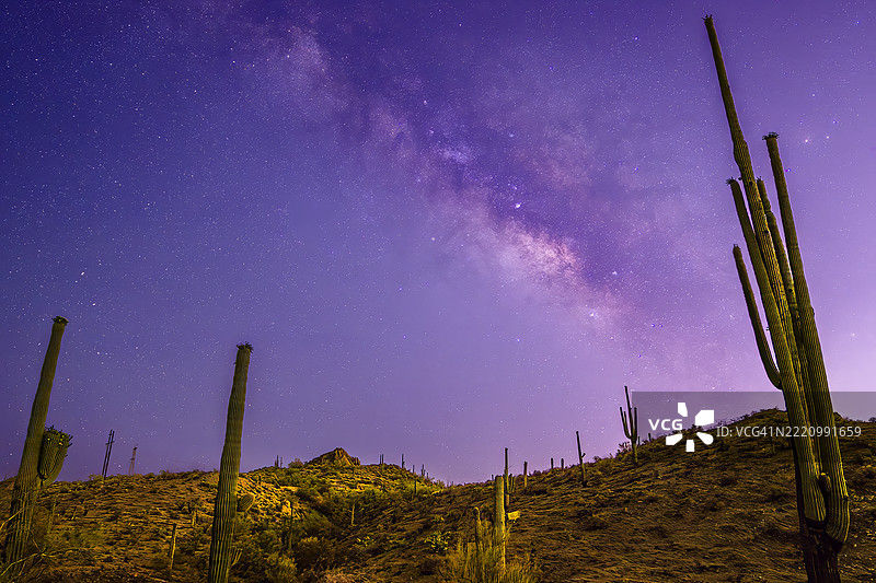 夜空下的树木低角度视图，亚利桑那州阿帕奇交汇处，美国图片素材