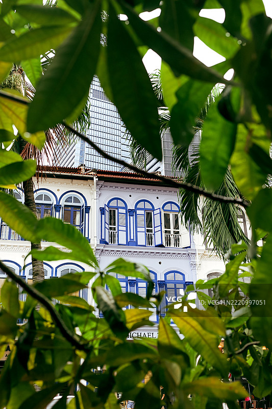 透过树枝看商铺的外观图片素材