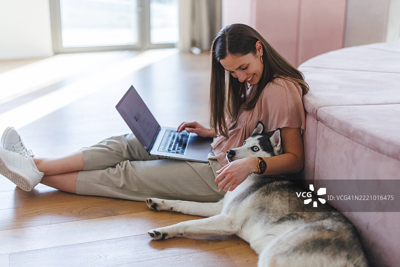 在自然光下，专业女性在家中工作，哈士奇狗在地板上。图片素材