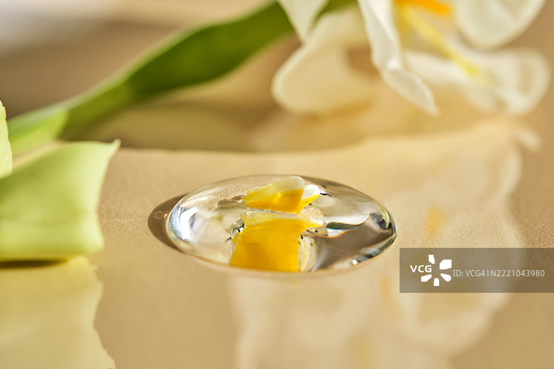 一滴血清在米色背景的白色花朵中。图片素材