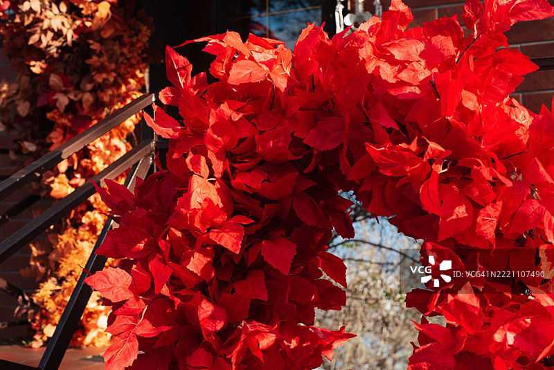 抽象的秋季背景，带有黄色、红色和橙色的树叶。快乐的万圣节。节日背景。秋季丰收节。感恩节。图片素材