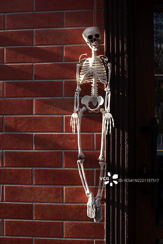 人类骨架和房屋外立面的万圣节装饰。万圣节快乐。秋天。图片素材