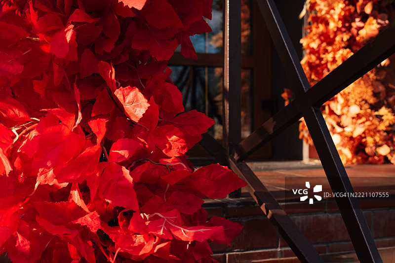 抽象的秋季背景，带有黄色、红色和橙色的树叶。快乐的万圣节。节日背景。秋季丰收节。感恩节。图片素材