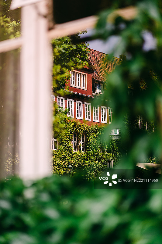 透过郁郁葱葱的树叶和打开的窗框看传统德国房屋图片素材