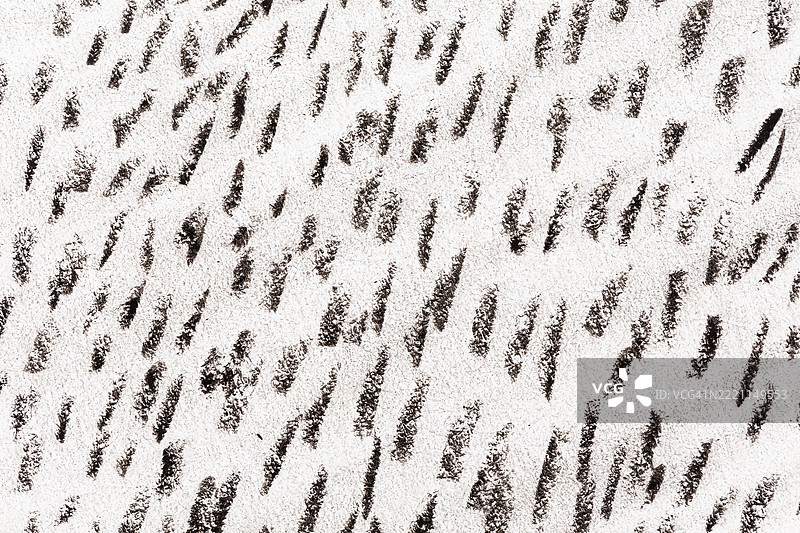 现代艺术油画和丙烯涂抹斑点画布墙面。抽象纹理黑色、青铜色、米色和棕色污渍笔触纹理背景。图片素材