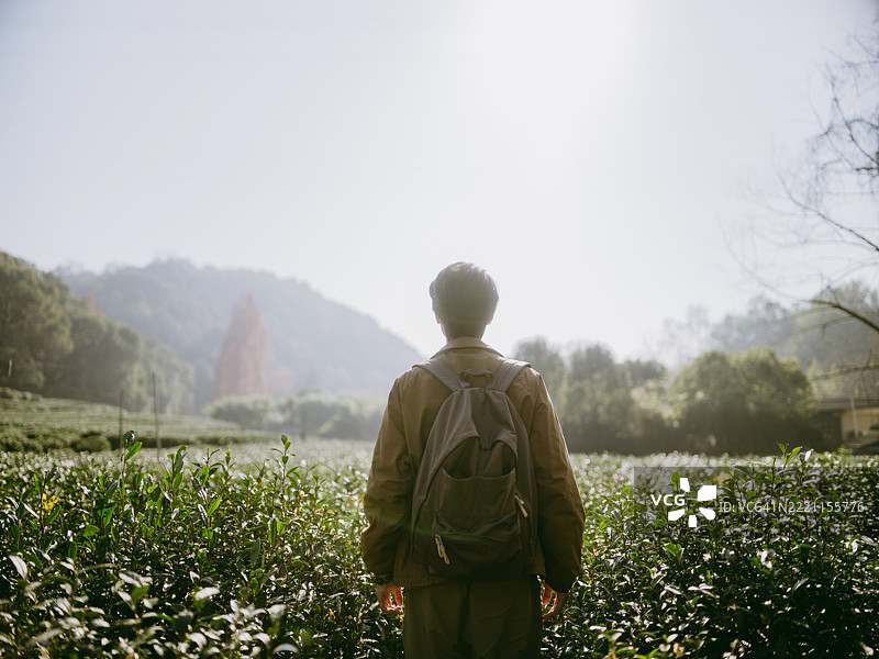 一位年轻的亚洲男子站在山谷中的茶园里图片素材
