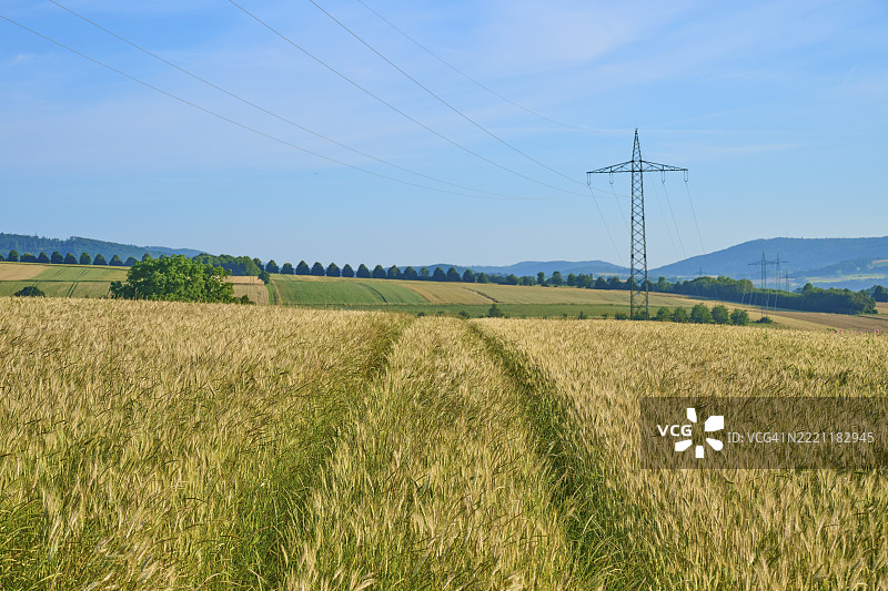 宽广的金色麦田，电力塔，蓝天和丘陵风景，夏季，Germerode，地质自然公园Frau-Holle-Land，Hoher Meissner，黑森州，德国，欧洲图片素材