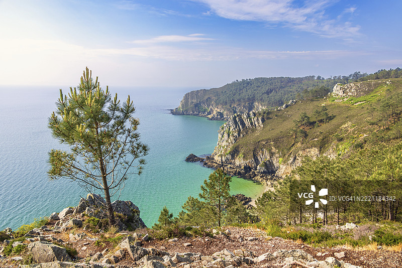 在阳光明媚的夏日，法国布列塔尼克罗宗半岛的岩石海岸线，松树与海洋景色交相辉映，直至地平线。图片素材