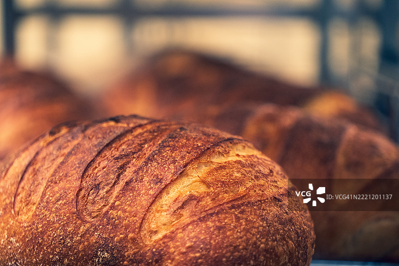 面包特写，华盛顿州雷德蒙德，美国图片素材