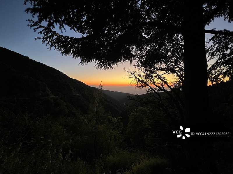 日落时分，剪影树木映衬天空，阿尔及利亚布利达省的克雷亚图片素材
