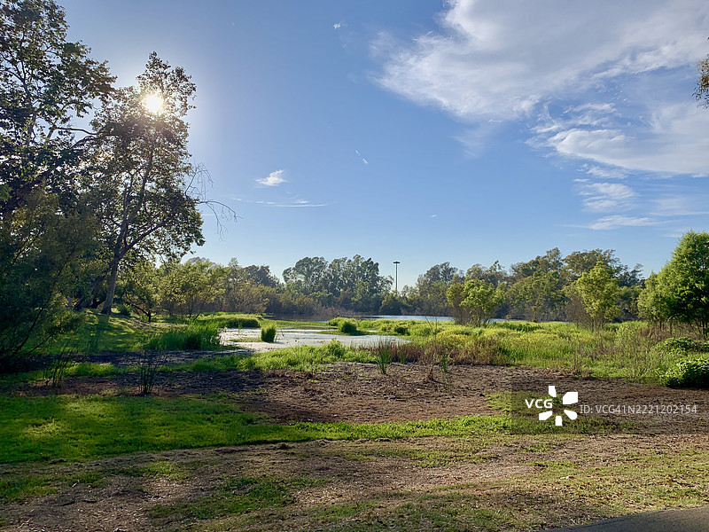 加利福尼亚州亨廷顿海滩的天空下的田野上的树木图片素材