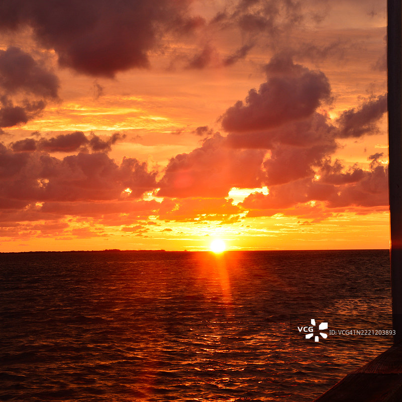 佛罗里达州坦帕市橙色天空下的海景图片素材