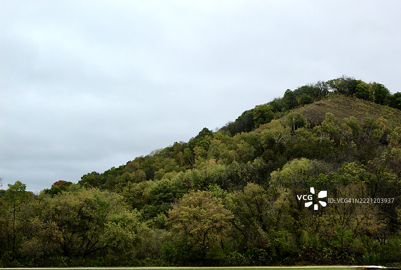 森林中的树木与天空，威斯康星州，普雷里杜希恩，美国图片素材