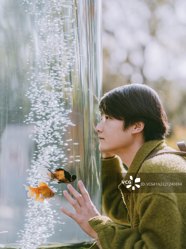 年轻帅气的亚洲男子站在鱼缸前图片素材