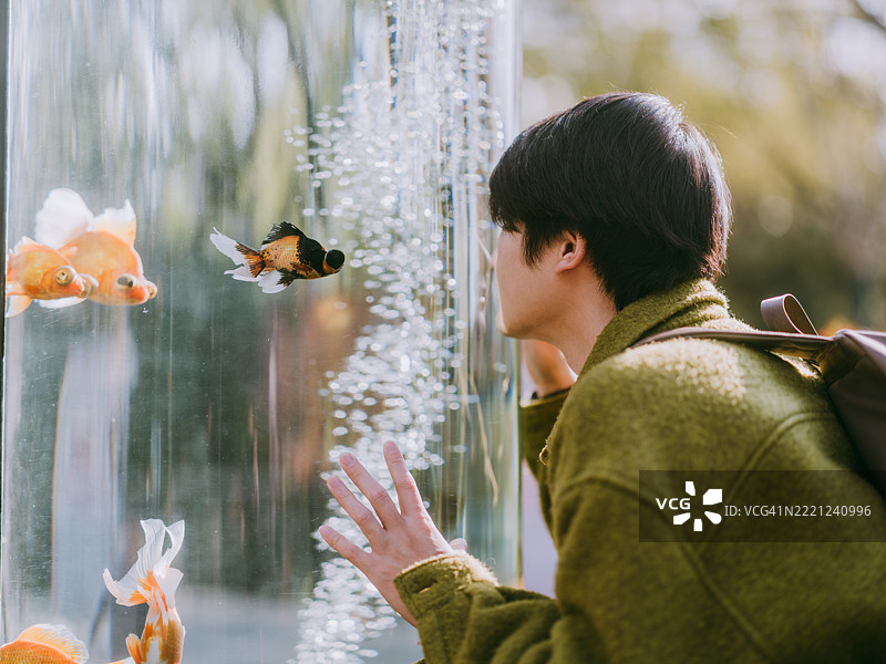 年轻帅气的亚洲男子站在鱼缸前图片素材