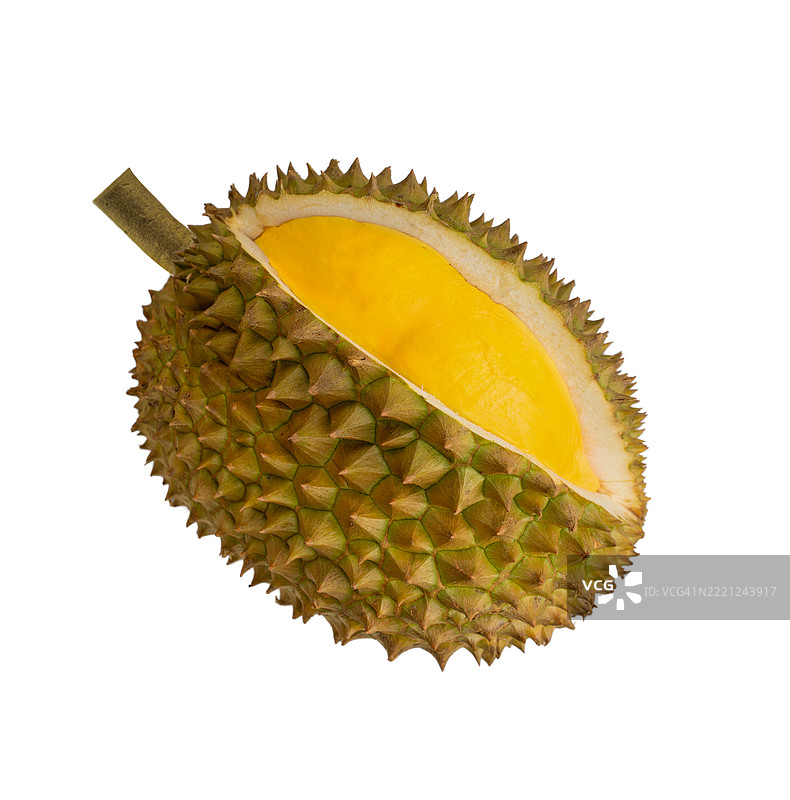 一个大型未剥皮的榴莲果，带有绿色的茎图片素材