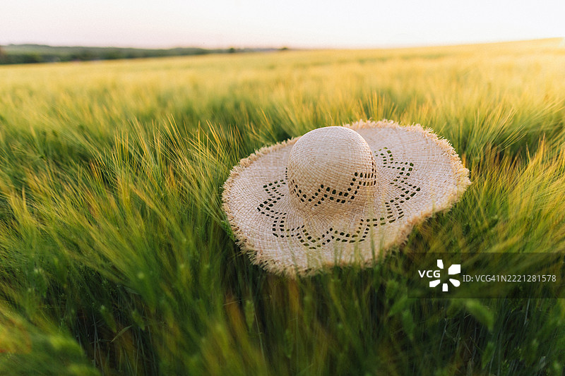 夕阳下的生机勃勃的麦田中的草帽图片素材