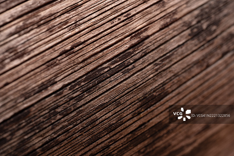 热带棕榈树叶的木质纹理，黑色、灰色和棕色，作为时尚的自然背景纹理。图片素材