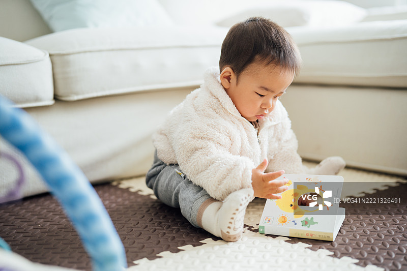 小男孩在学习和阅读图片素材