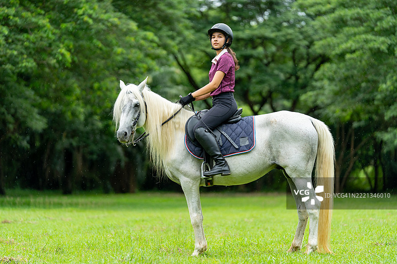 年轻女孩坐在草地上的马背上，面朝镜头，背景是一棵大树，阳光明媚。图片素材