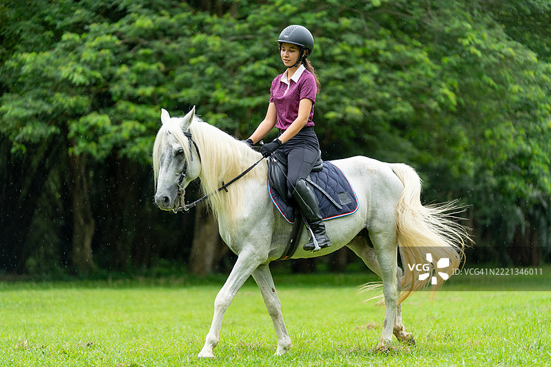 年轻女孩在农场或公共花园的田野上骑马奔跑，阳光明媚。图片素材