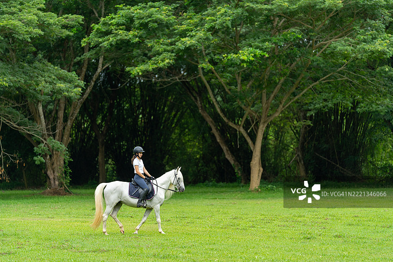 年轻女孩穿着白色衣服，坐在马背上，马向左侧走，背景是农场或公共花园的大树。图片素材