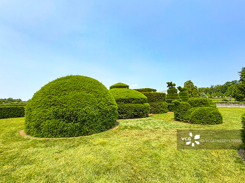 朗伍德花园的修剪园艺，肯尼特广场，宾夕法尼亚州图片素材