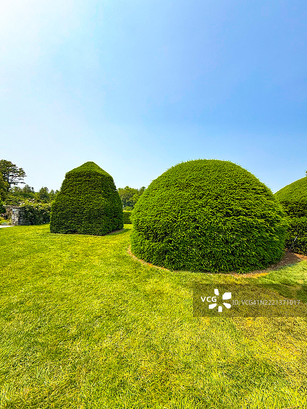 朗伍德花园的修剪园艺，肯尼特广场，宾夕法尼亚州图片素材