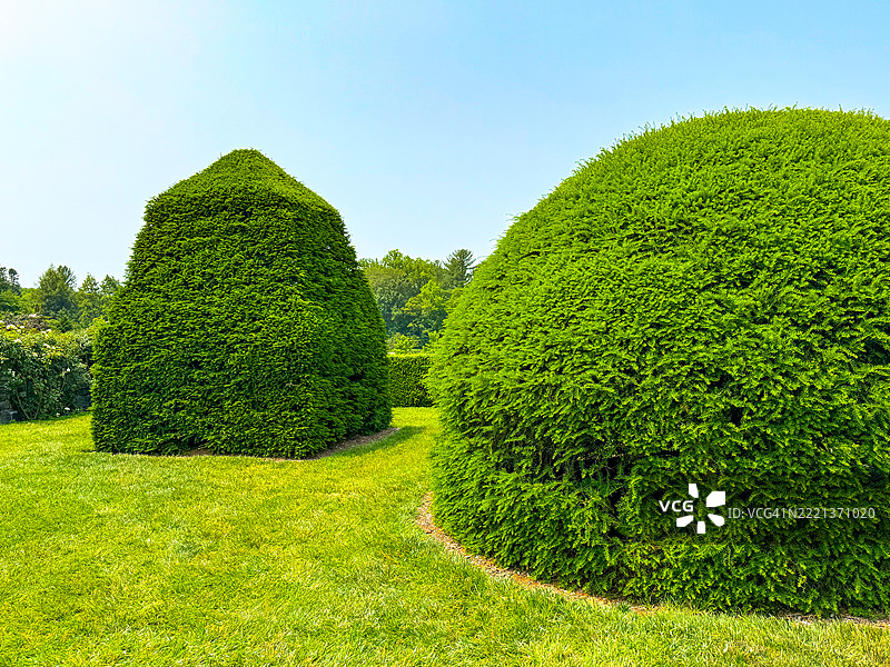 朗伍德花园的修剪园艺，肯尼特广场，宾夕法尼亚州图片素材