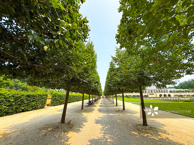 在宾夕法尼亚州肯尼特广场的朗伍德花园，人在修剪整齐的树木下。图片素材
