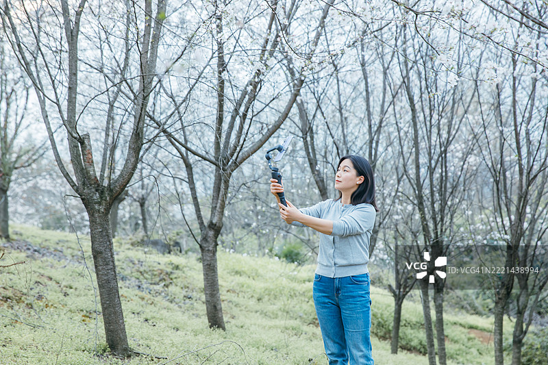一位亚洲女性在樱花树下用手机稳定器自拍图片素材