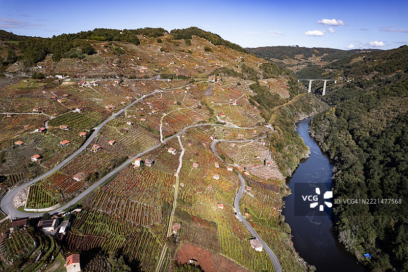 里贝拉萨克拉葡萄园图片素材