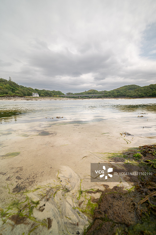 苏格兰莫拉尔的银沙滩上的海藻。图片素材
