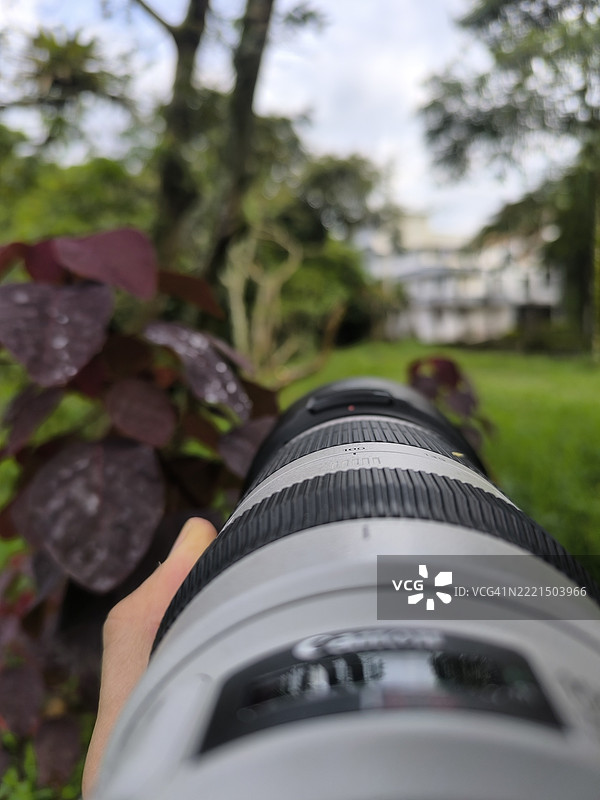 在哥伦比亚观鸟图片素材