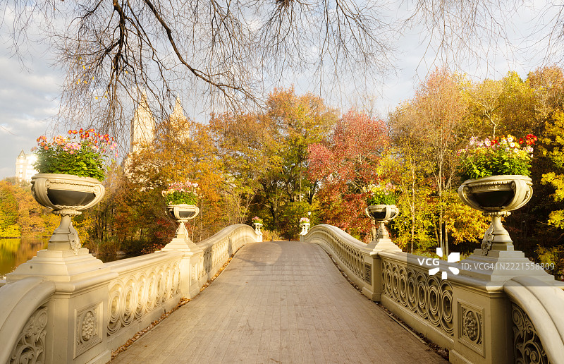 纽约中央公园秋季的弓桥图片素材