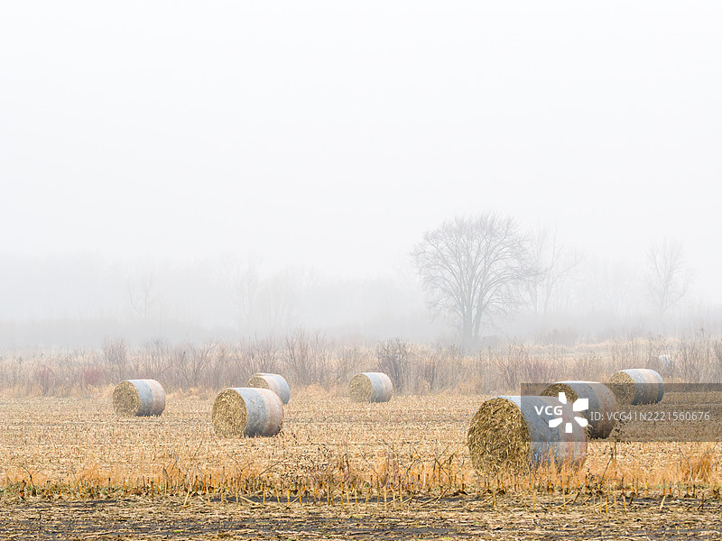 雾气弥漫的收获田野图片素材