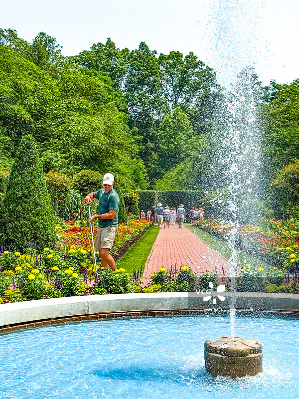 在宾夕法尼亚州肯尼特广场的朗伍德花园，工人在喷泉附近浇水。图片素材