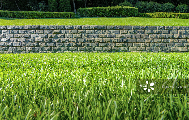 夏季草地图片素材