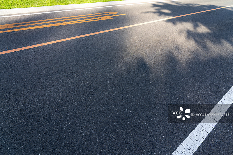 树荫下的沥青道路图片素材