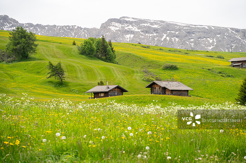 阿尔卑斯西乌斯，塞尔瓦阿尔姆，康帕奇夏季，意大利多洛米蒂的自然风光图片素材