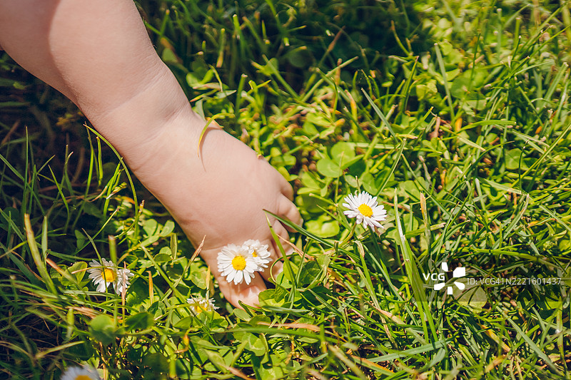 小宝宝的腿在草地上图片素材