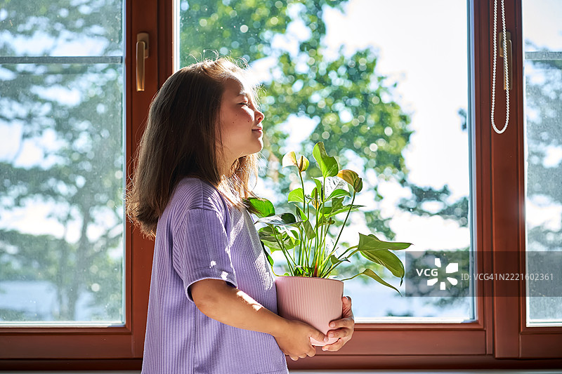 一个穿着淡紫色西装的女孩在窗户背景前欣赏一朵花。图片素材